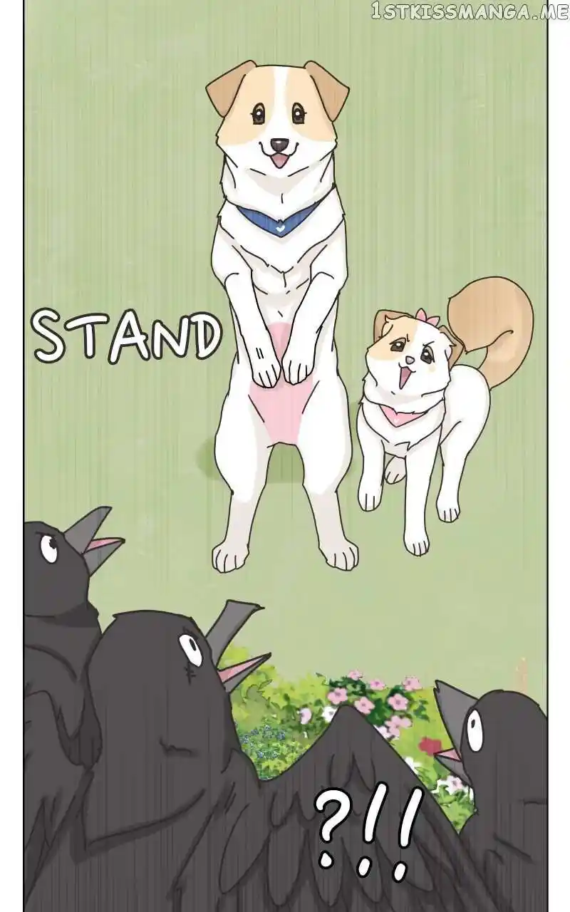 I Gave Birth to a Dog Chapter 104