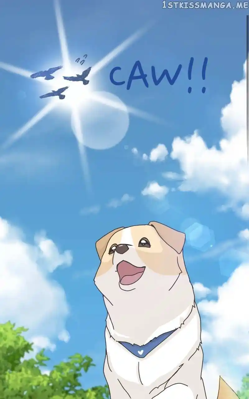 I Gave Birth to a Dog Chapter 104