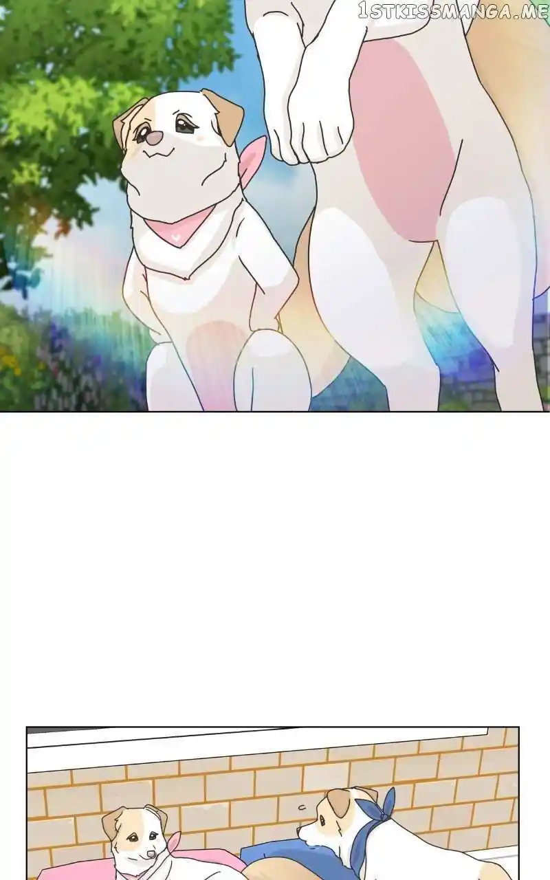 I Gave Birth to a Dog Chapter 104
