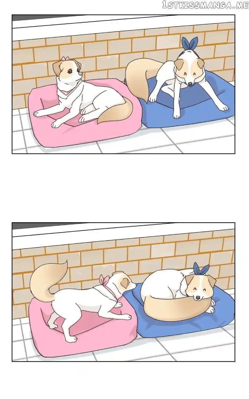 I Gave Birth to a Dog Chapter 104