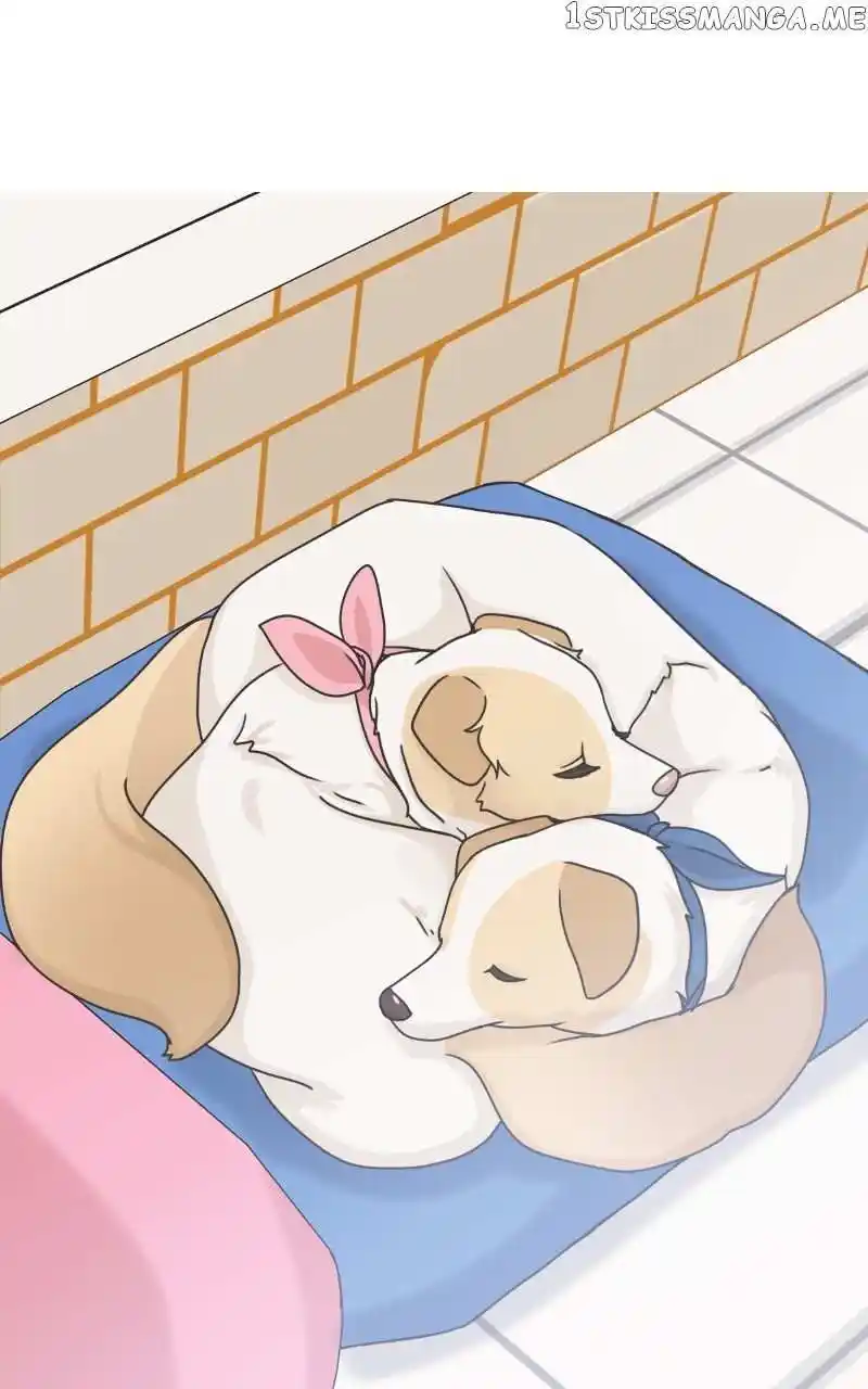 I Gave Birth to a Dog Chapter 104