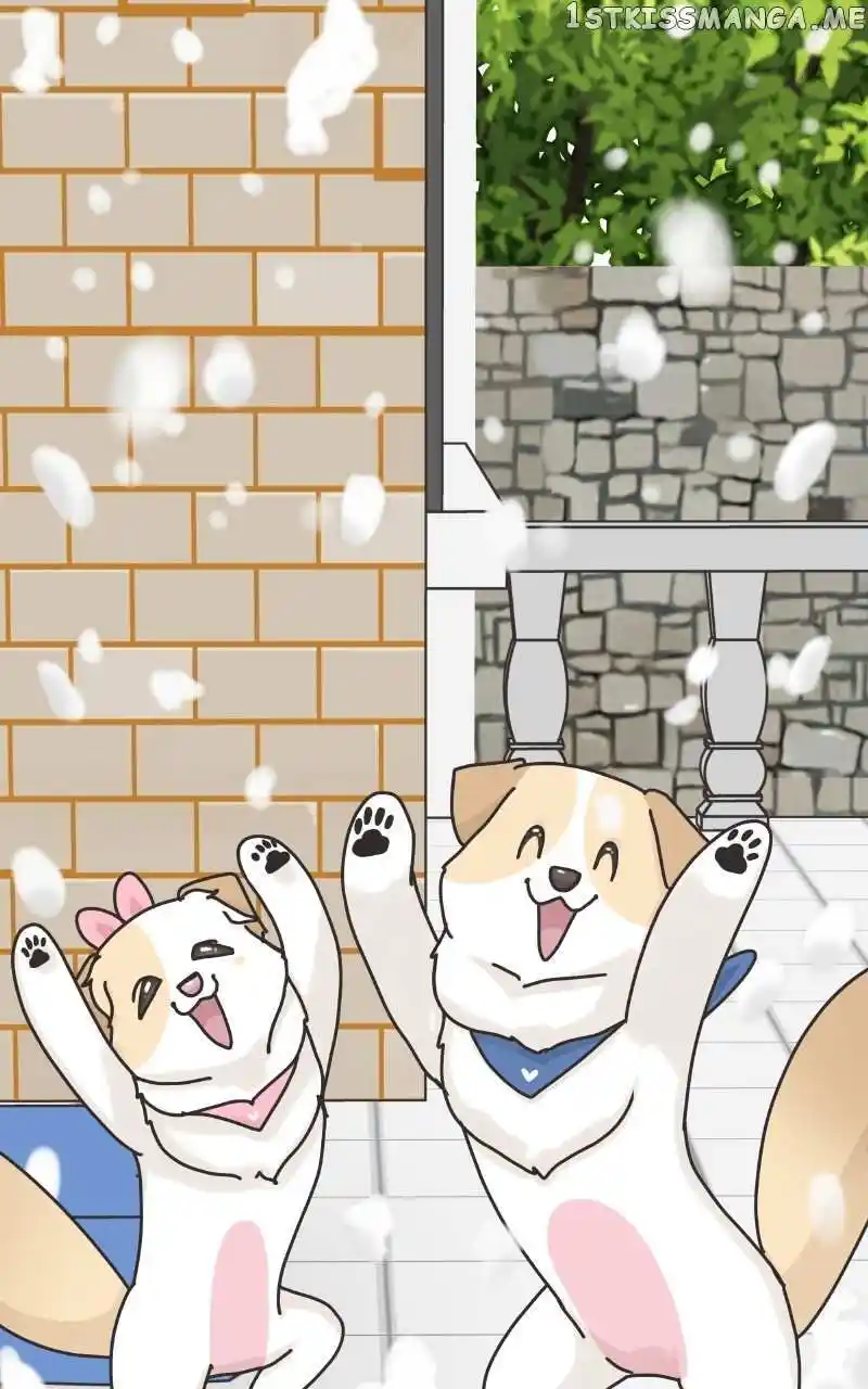 I Gave Birth to a Dog Chapter 104