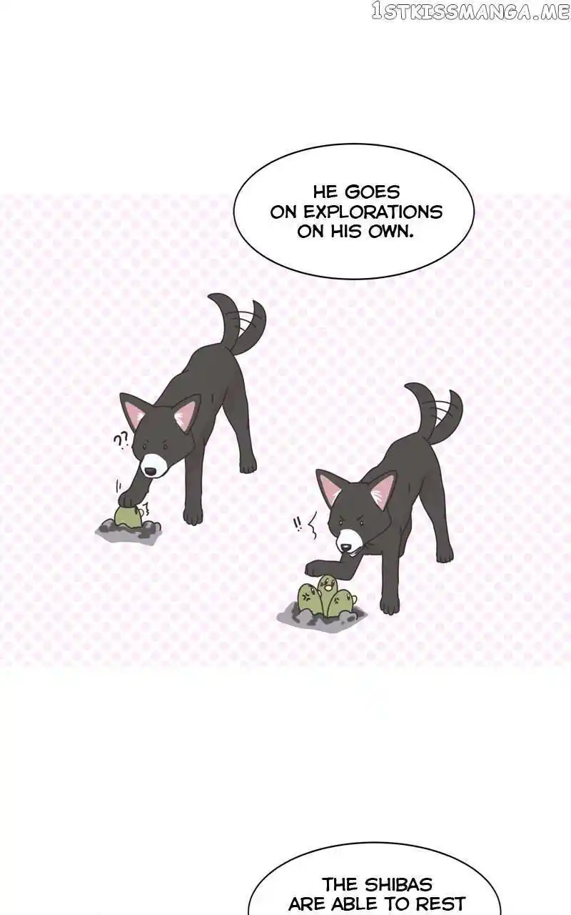 I Gave Birth to a Dog Chapter 105