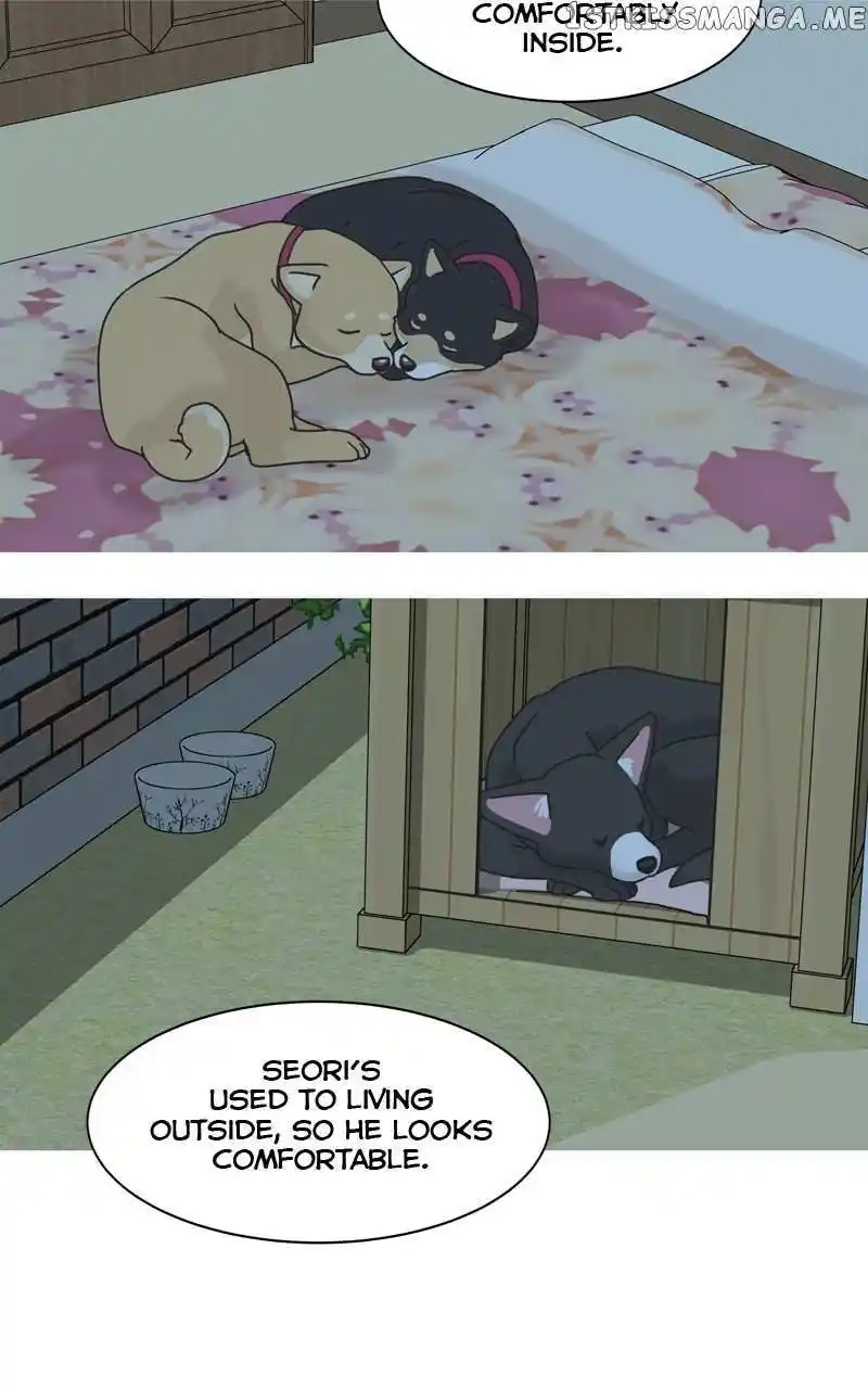 I Gave Birth to a Dog Chapter 105