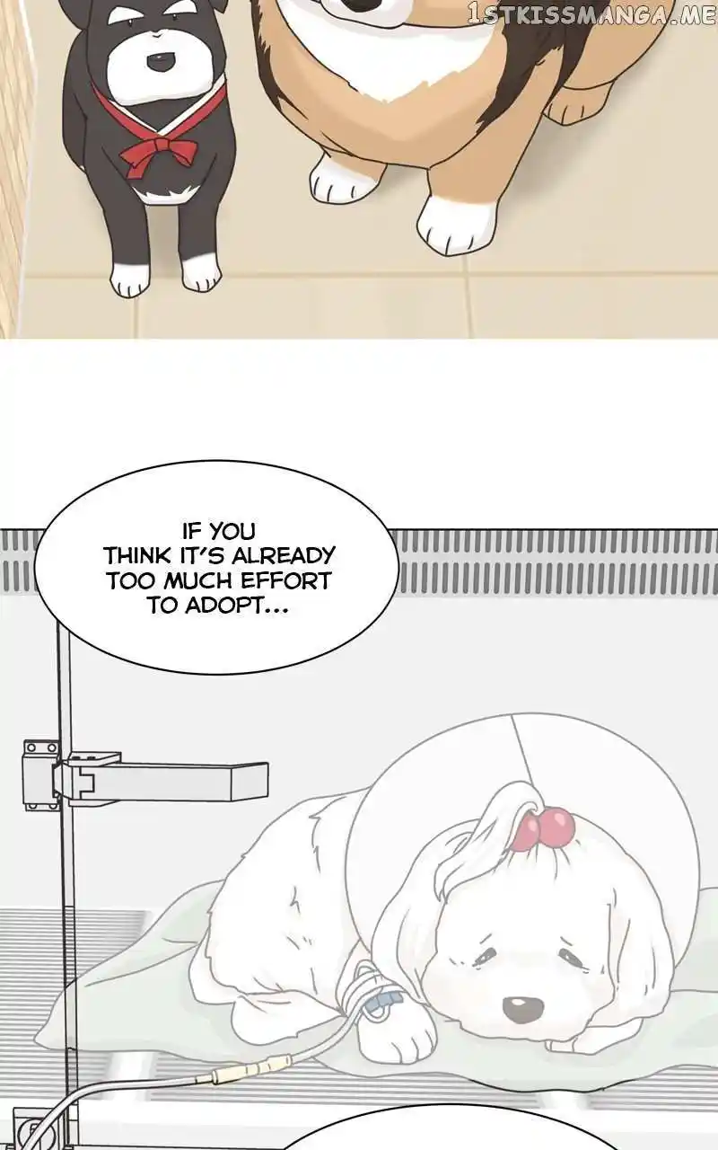 I Gave Birth to a Dog Chapter 105