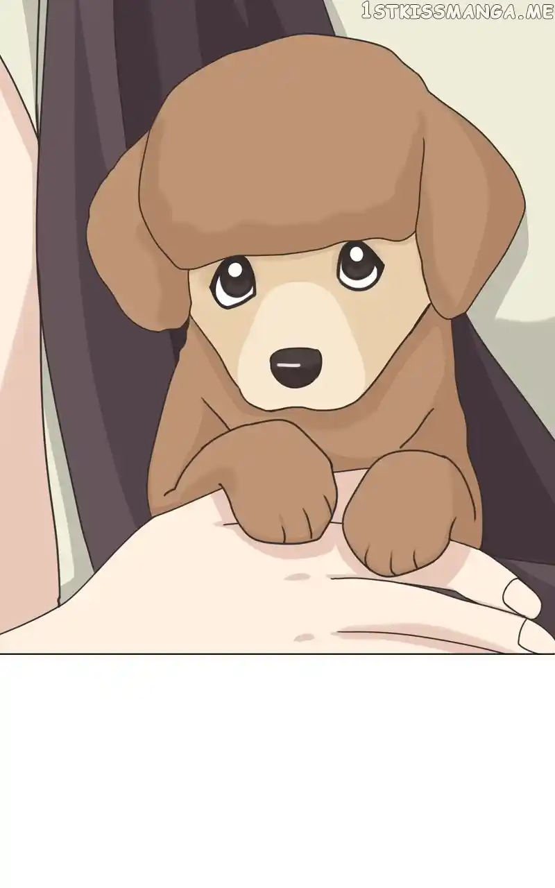 I Gave Birth to a Dog Chapter 106