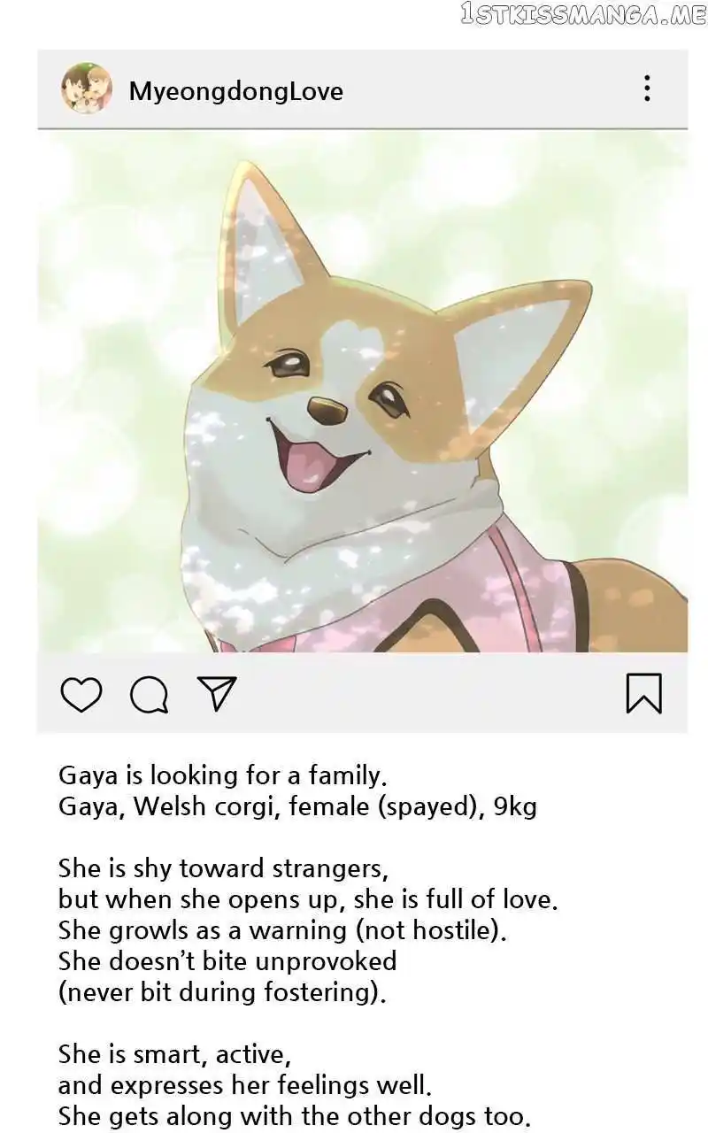 I Gave Birth to a Dog Chapter 106