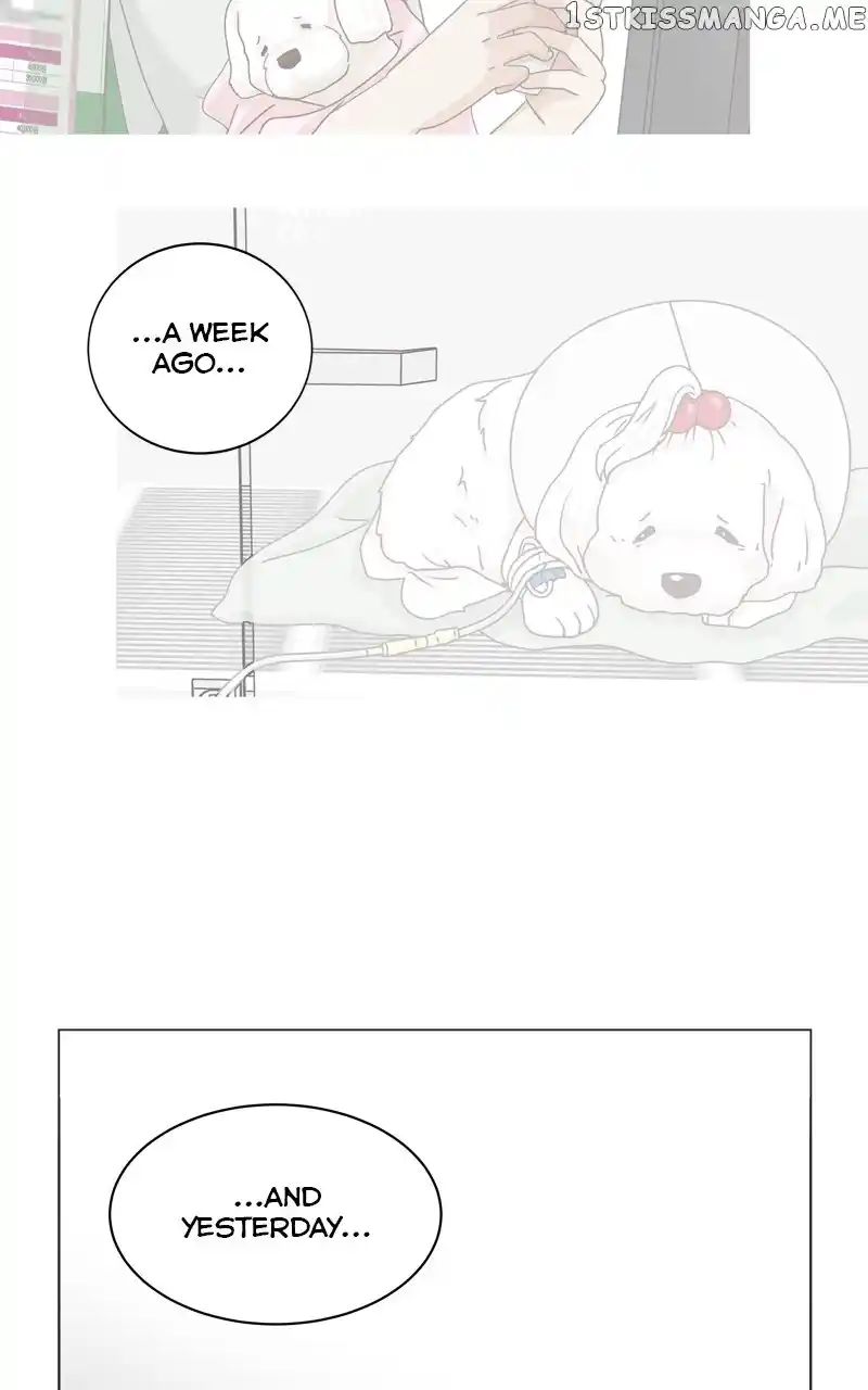 I Gave Birth to a Dog Chapter 106