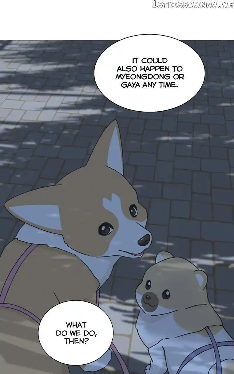 I Gave Birth to a Dog Chapter 107