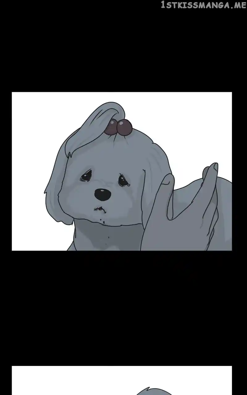 I Gave Birth to a Dog Chapter 107