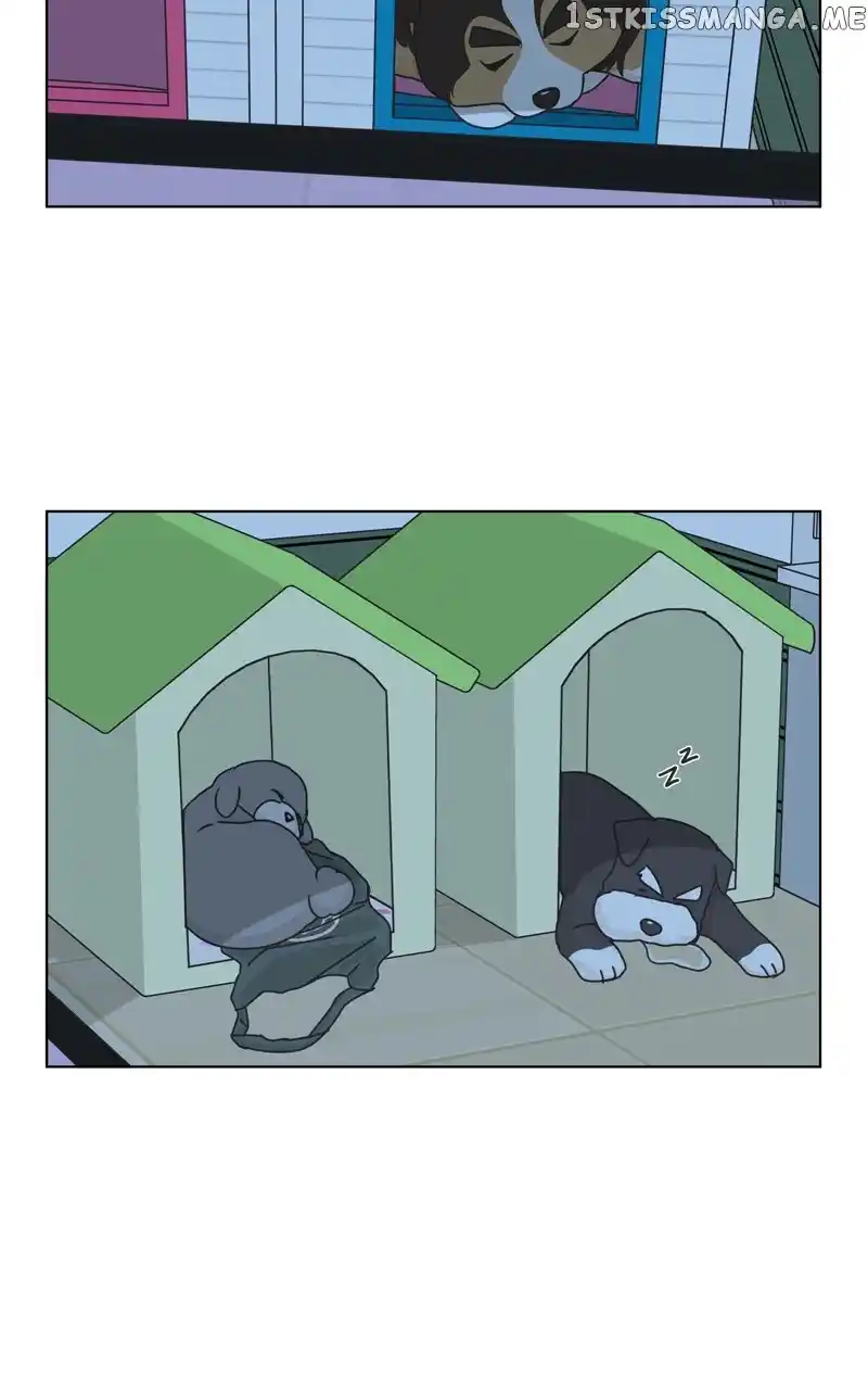 I Gave Birth to a Dog Chapter 108