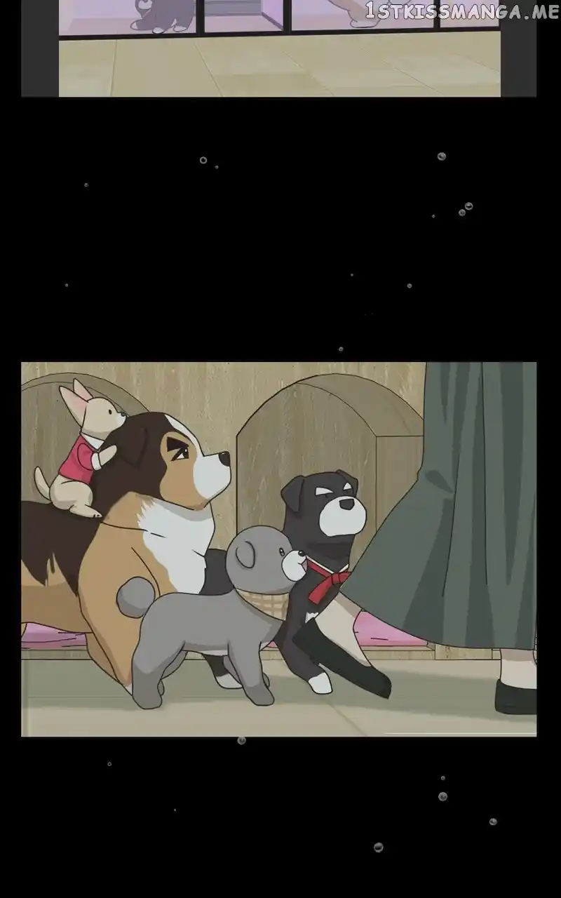I Gave Birth to a Dog Chapter 110