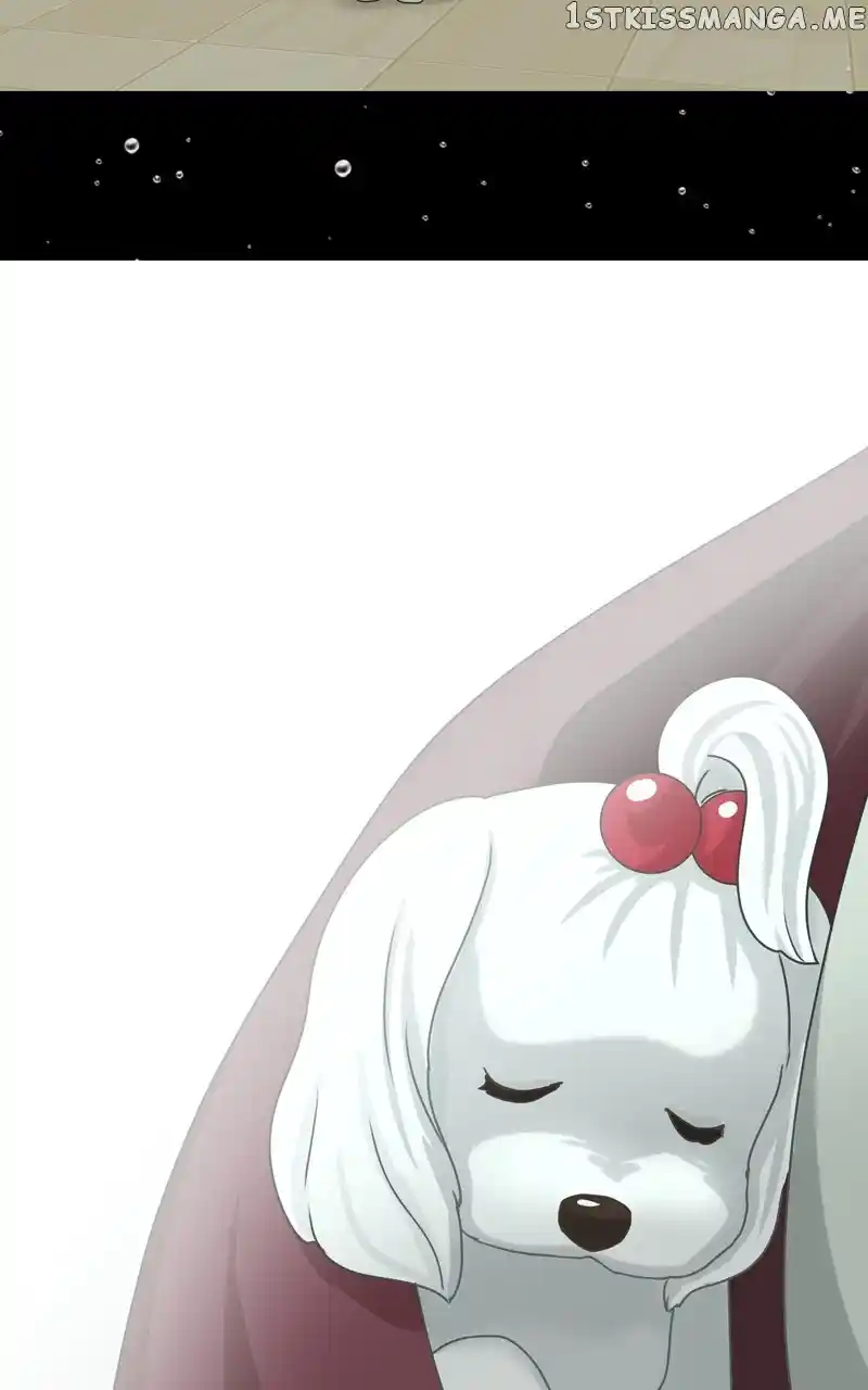 I Gave Birth to a Dog Chapter 110
