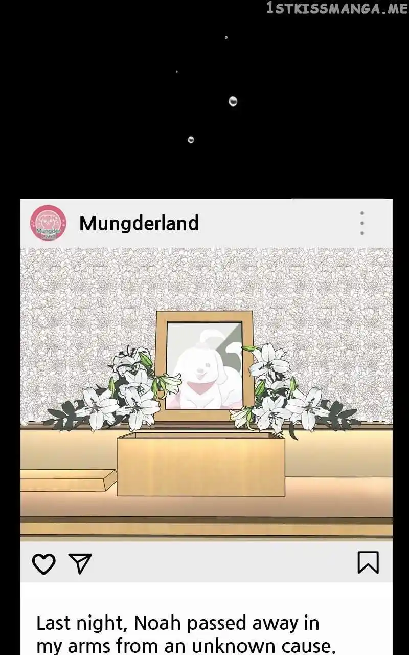 I Gave Birth to a Dog Chapter 110