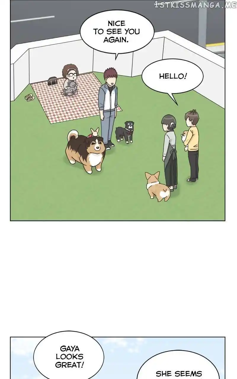 I Gave Birth to a Dog Chapter 113