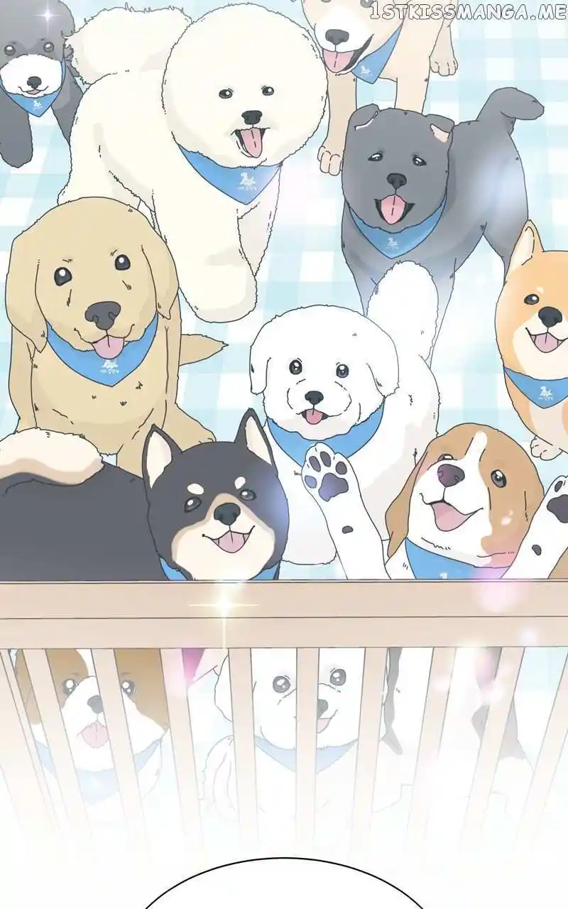I Gave Birth to a Dog Chapter 113