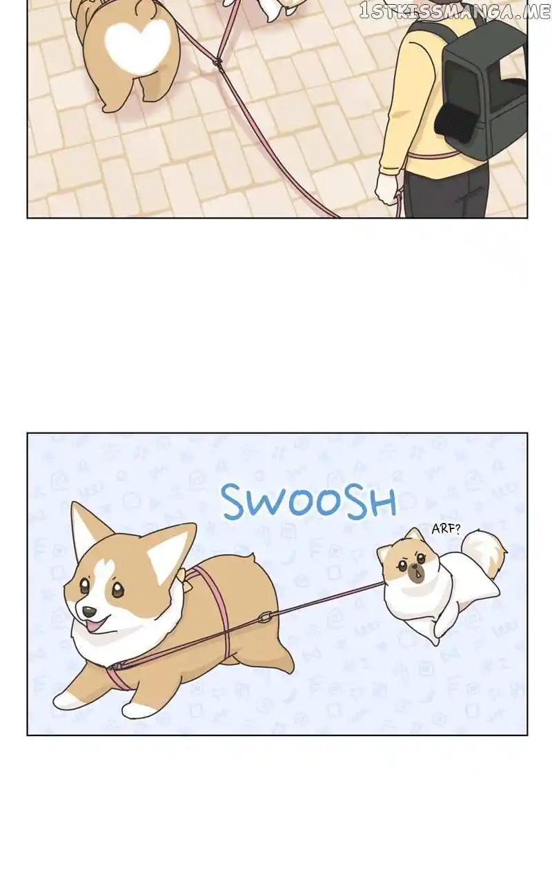 I Gave Birth to a Dog Chapter 114