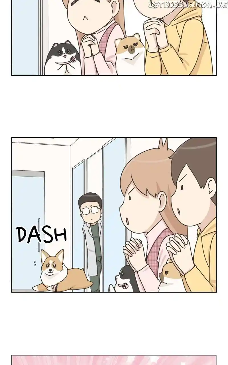 I Gave Birth to a Dog Chapter 114