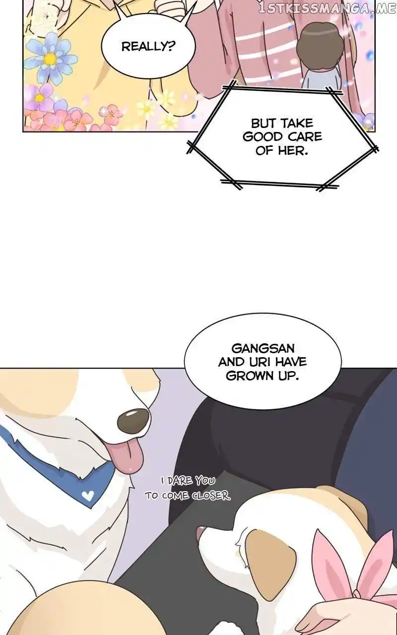 I Gave Birth to a Dog Chapter 114
