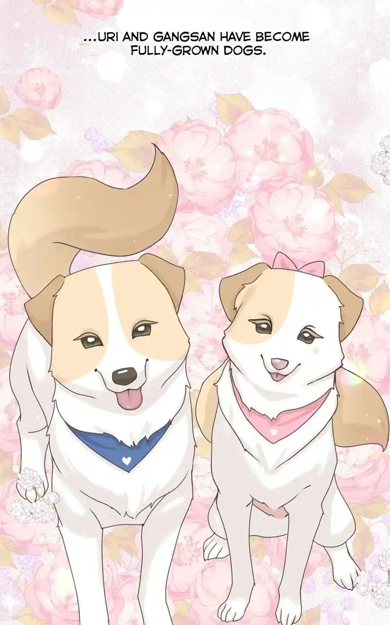 I Gave Birth to a Dog Chapter 115