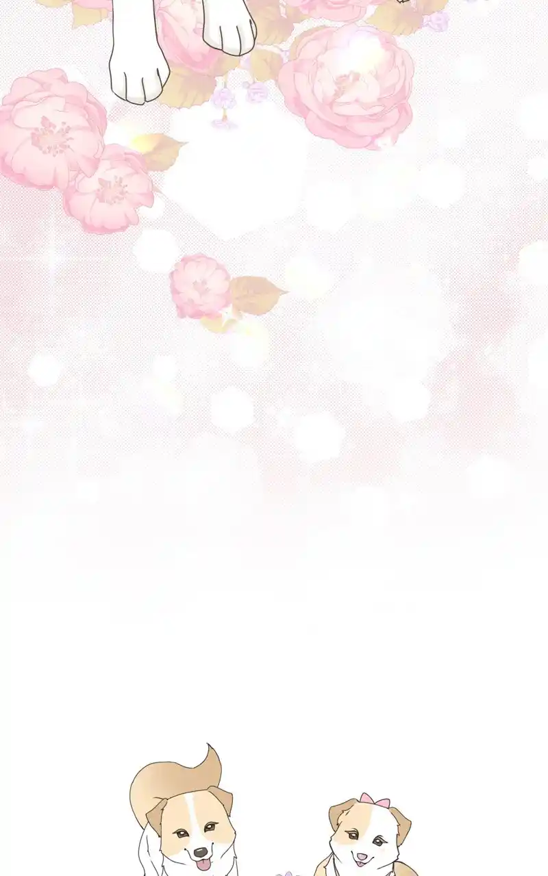 I Gave Birth to a Dog Chapter 115