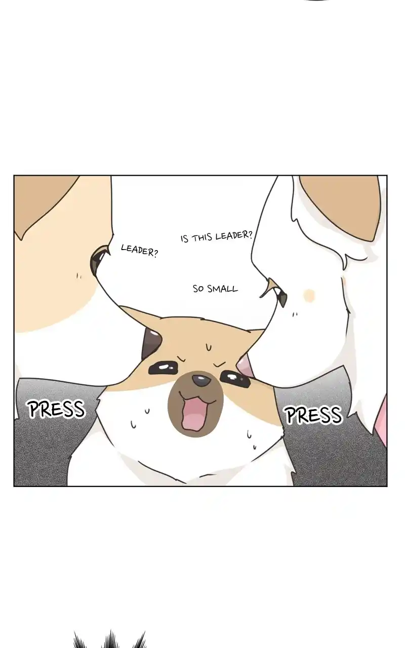 I Gave Birth to a Dog Chapter 115