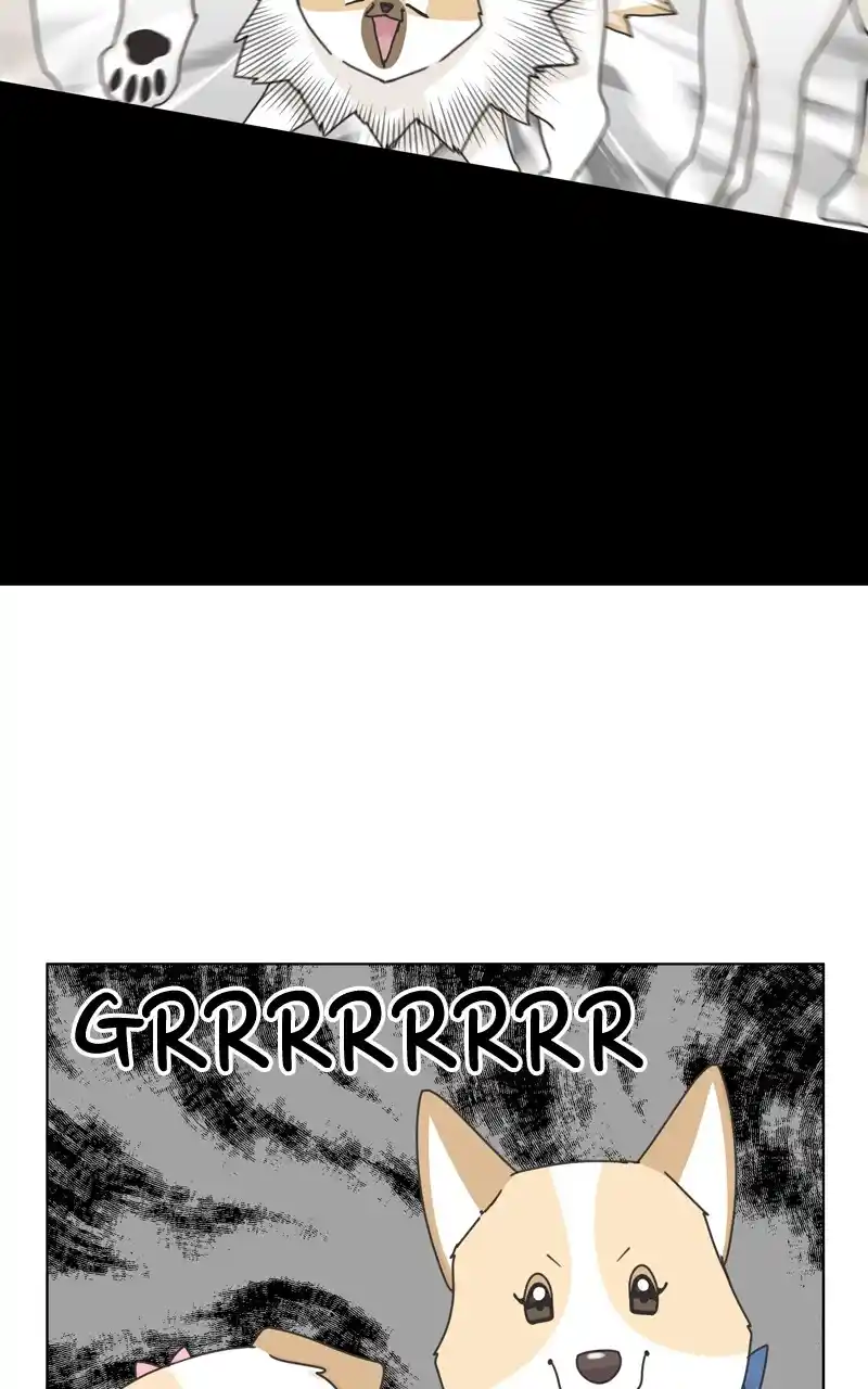I Gave Birth to a Dog Chapter 115