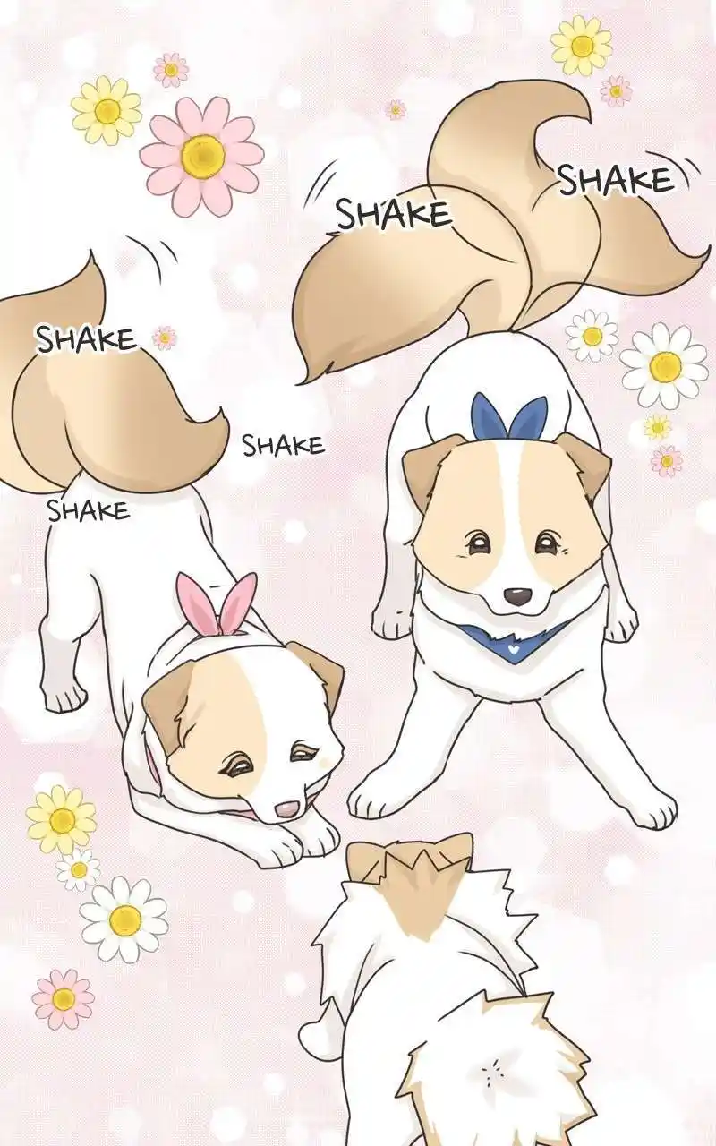 I Gave Birth to a Dog Chapter 115