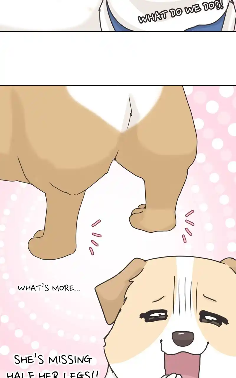 I Gave Birth to a Dog Chapter 115