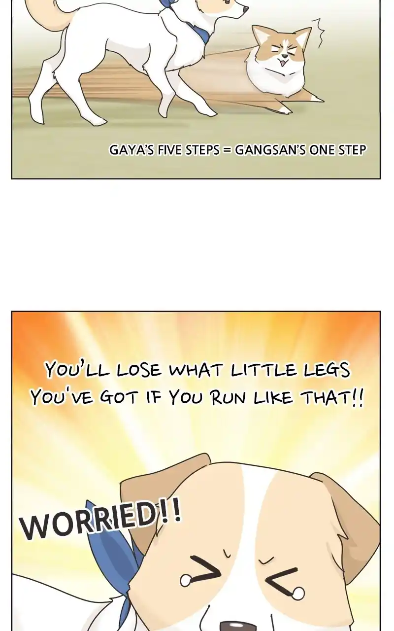 I Gave Birth to a Dog Chapter 115