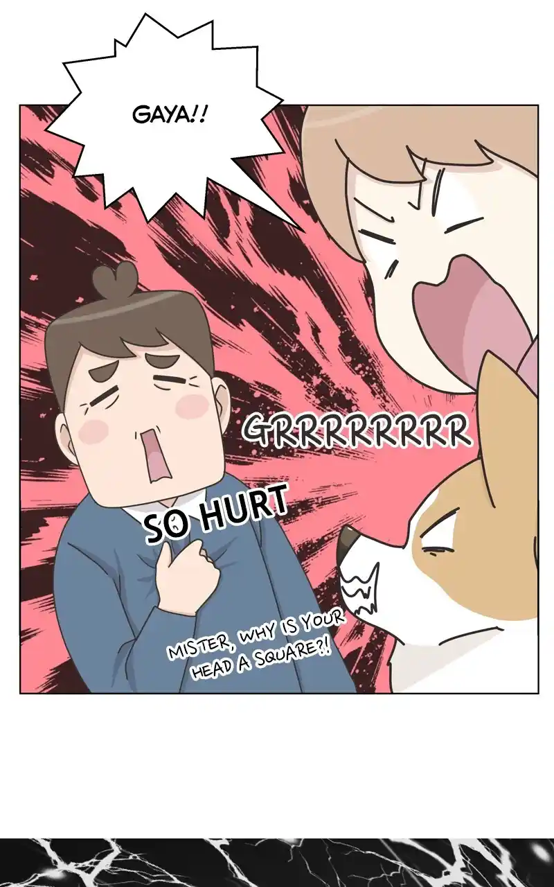 I Gave Birth to a Dog Chapter 115