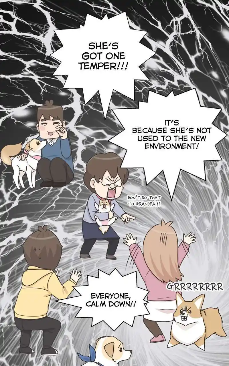 I Gave Birth to a Dog Chapter 115