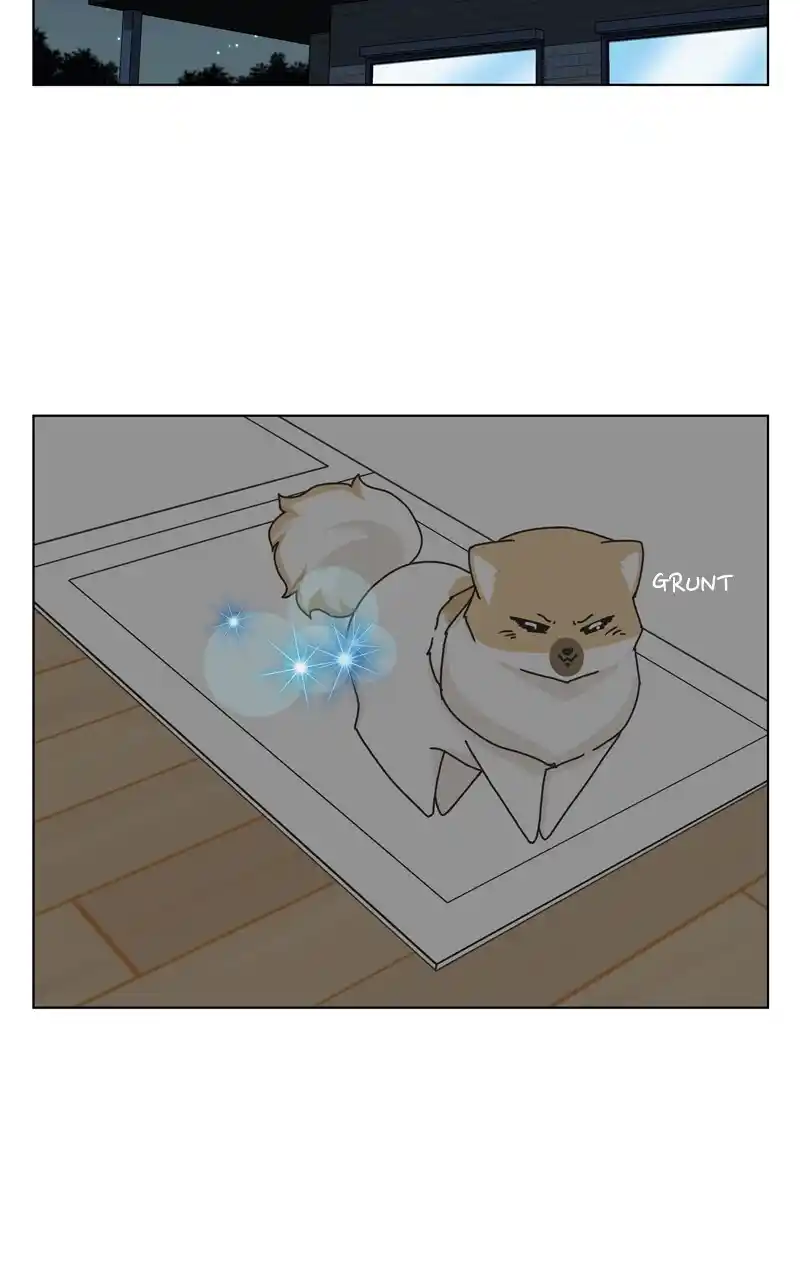 I Gave Birth to a Dog Chapter 115