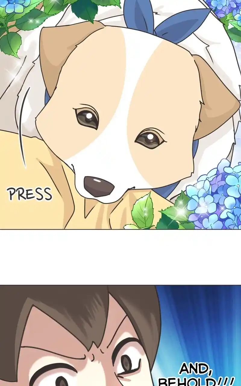 I Gave Birth to a Dog Chapter 115