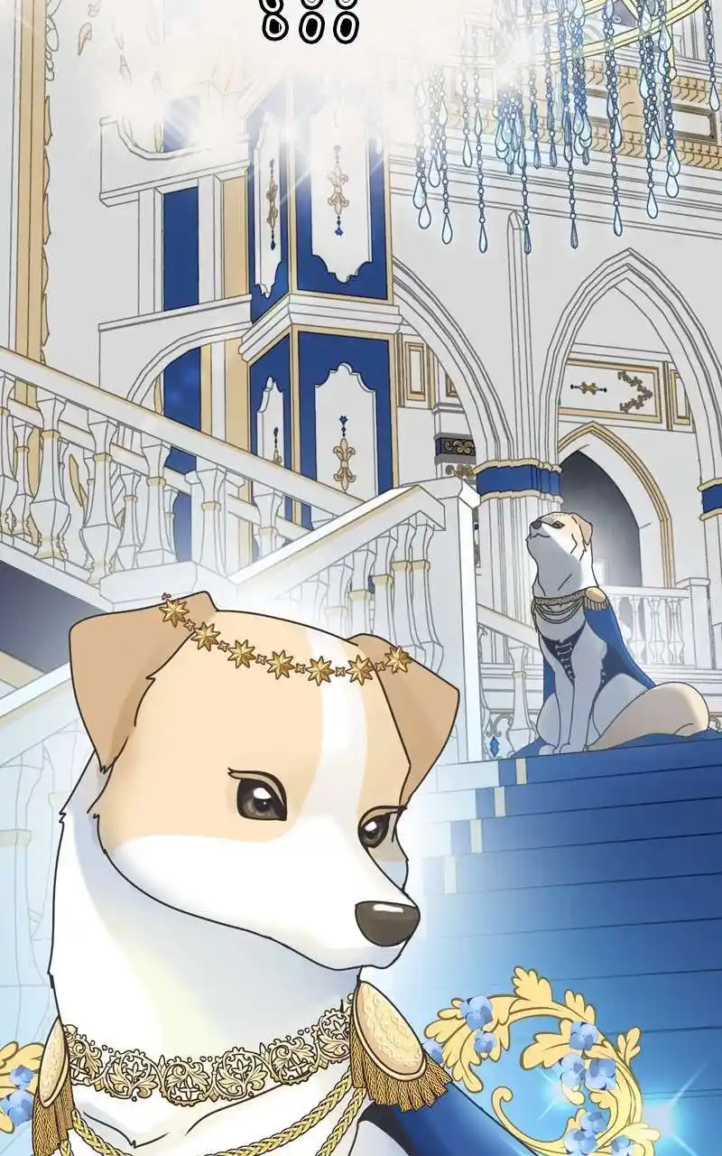 I Gave Birth to a Dog Chapter 115