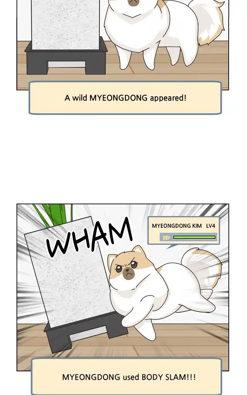 I Gave Birth to a Dog Chapter 116