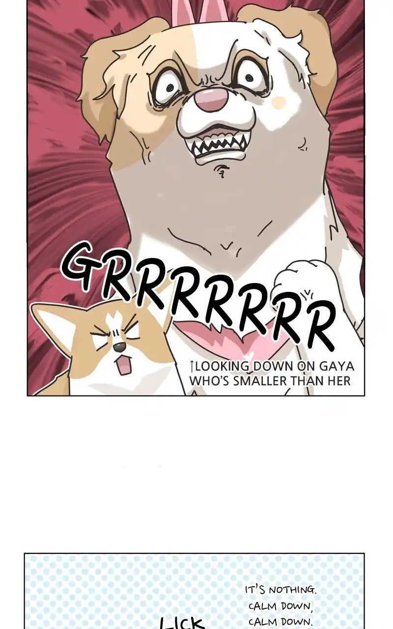 I Gave Birth to a Dog Chapter 116