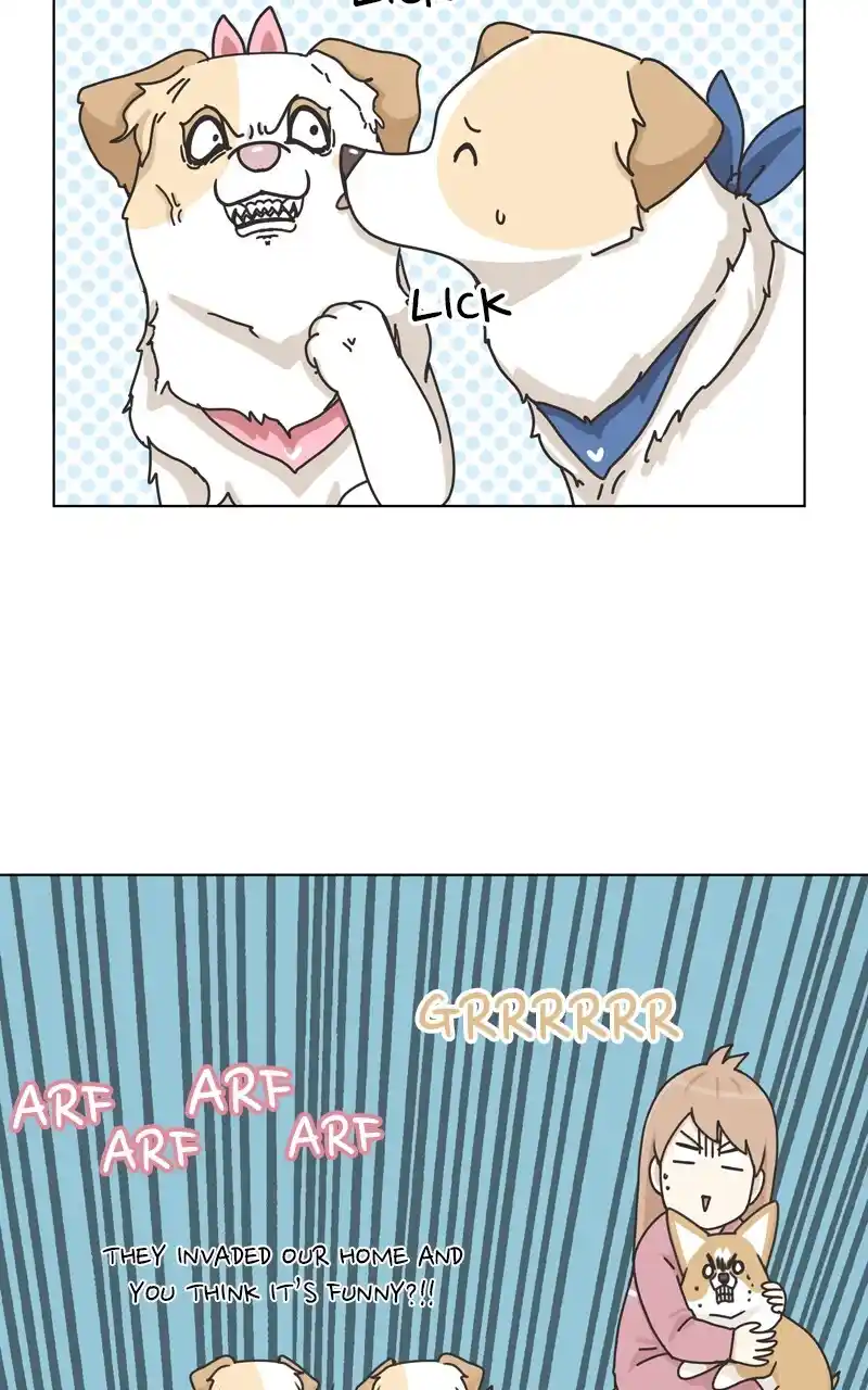 I Gave Birth to a Dog Chapter 116