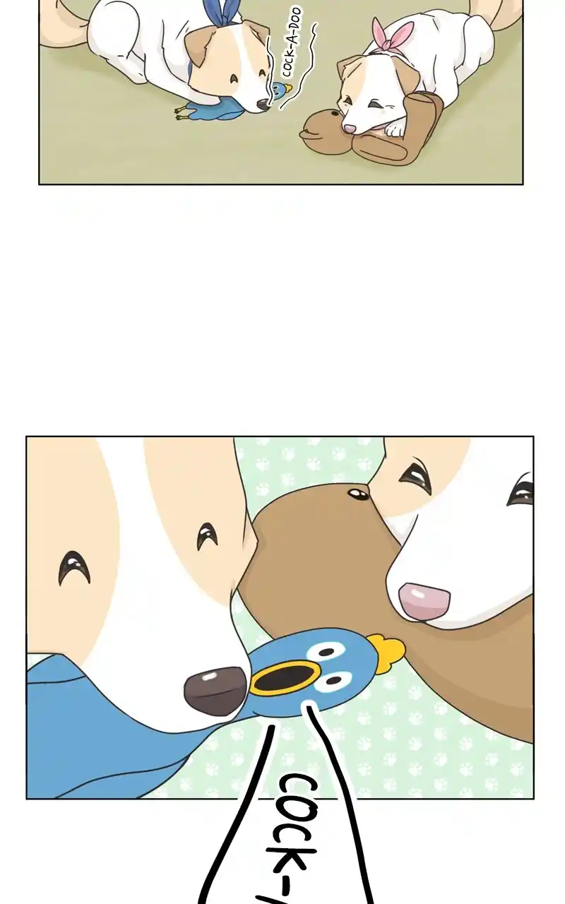 I Gave Birth to a Dog Chapter 116