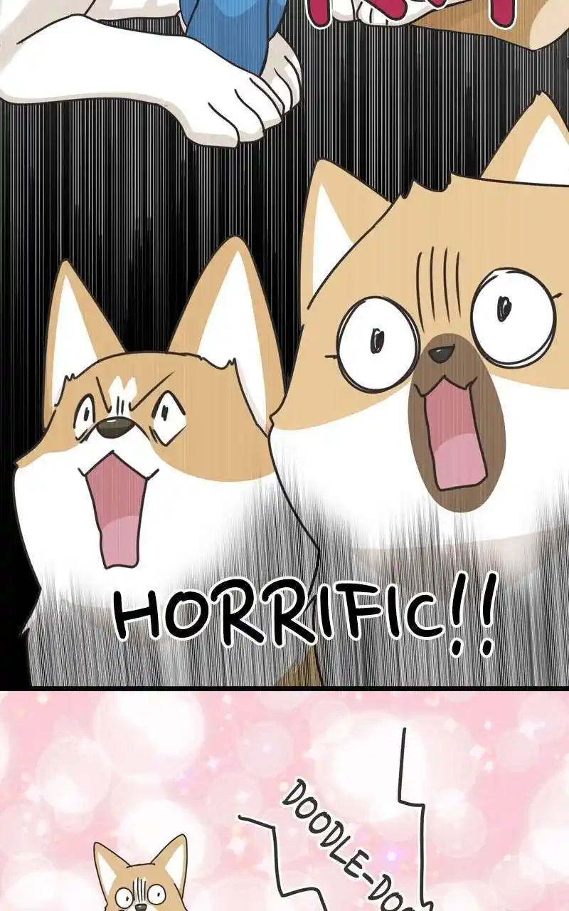 I Gave Birth to a Dog Chapter 116
