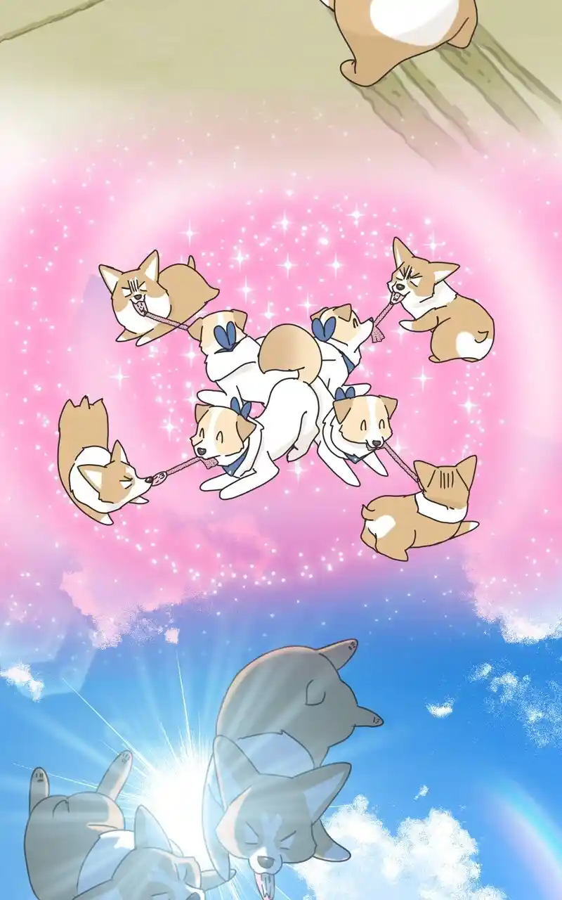 I Gave Birth to a Dog Chapter 116