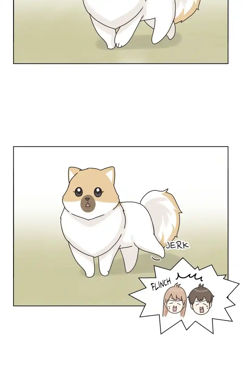 I Gave Birth to a Dog Chapter 116