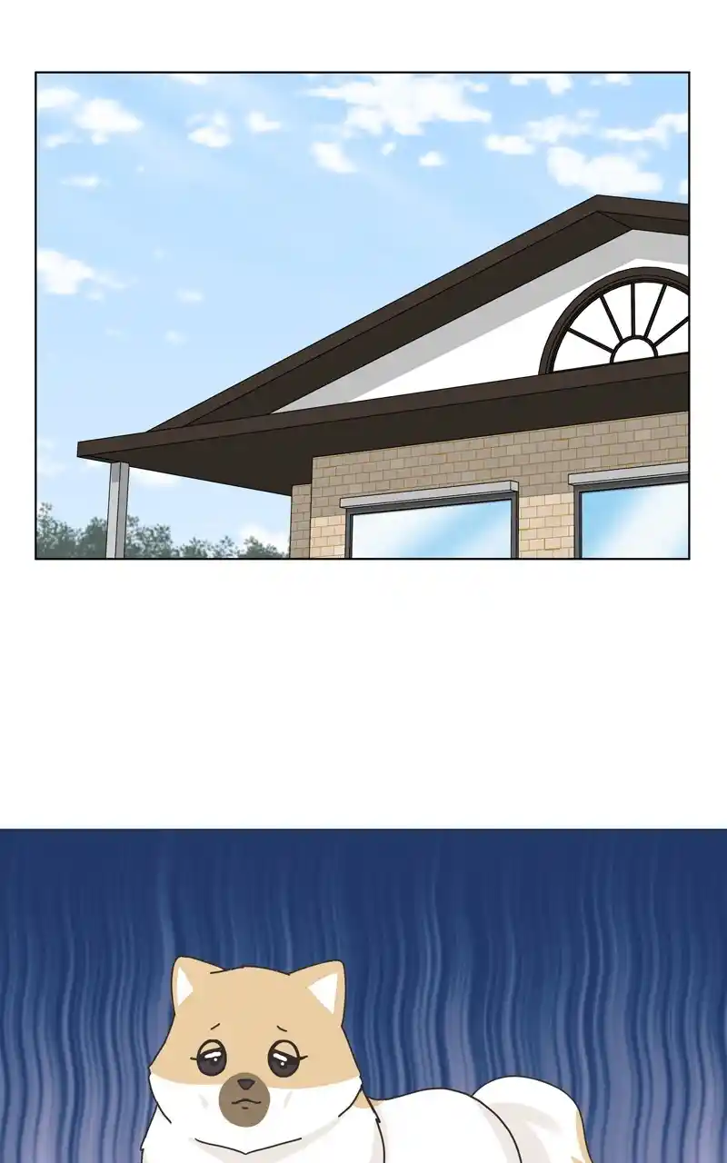 I Gave Birth to a Dog Chapter 117