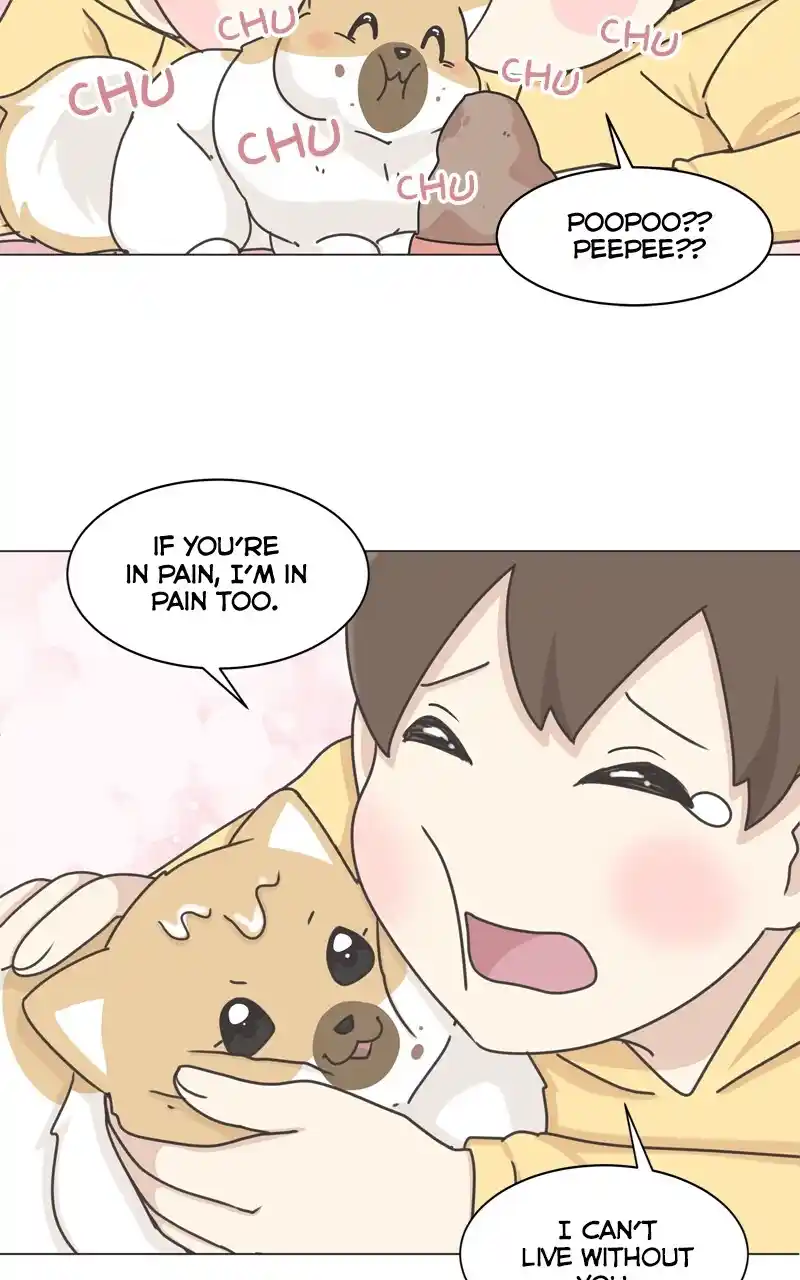 I Gave Birth to a Dog Chapter 117