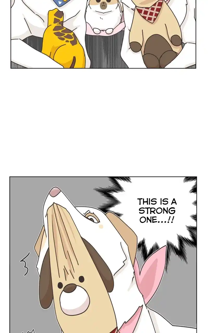 I Gave Birth to a Dog Chapter 117