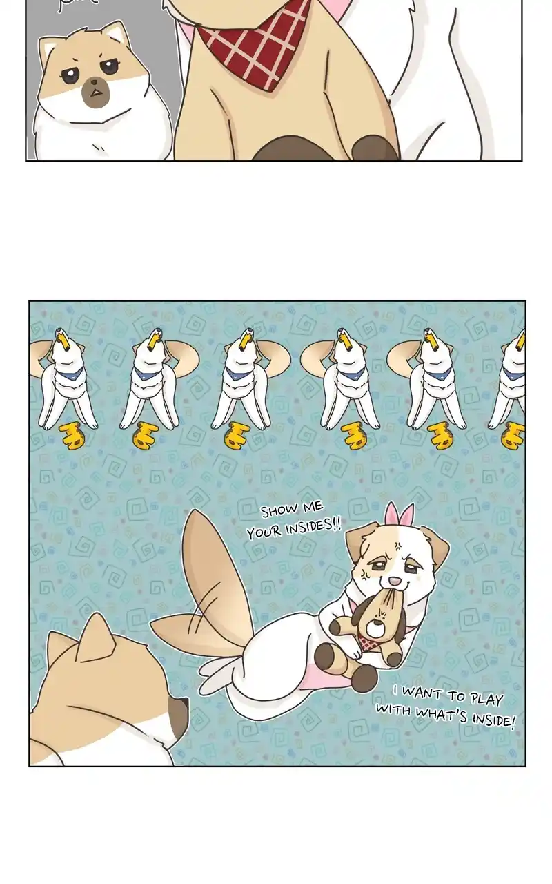 I Gave Birth to a Dog Chapter 117