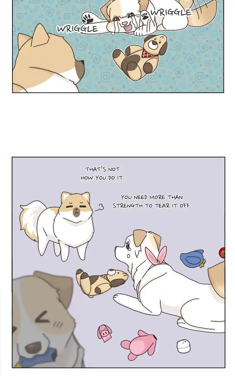 I Gave Birth to a Dog Chapter 117