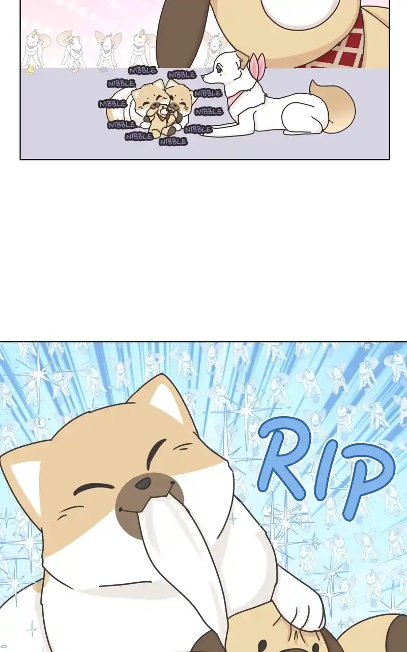 I Gave Birth to a Dog Chapter 117
