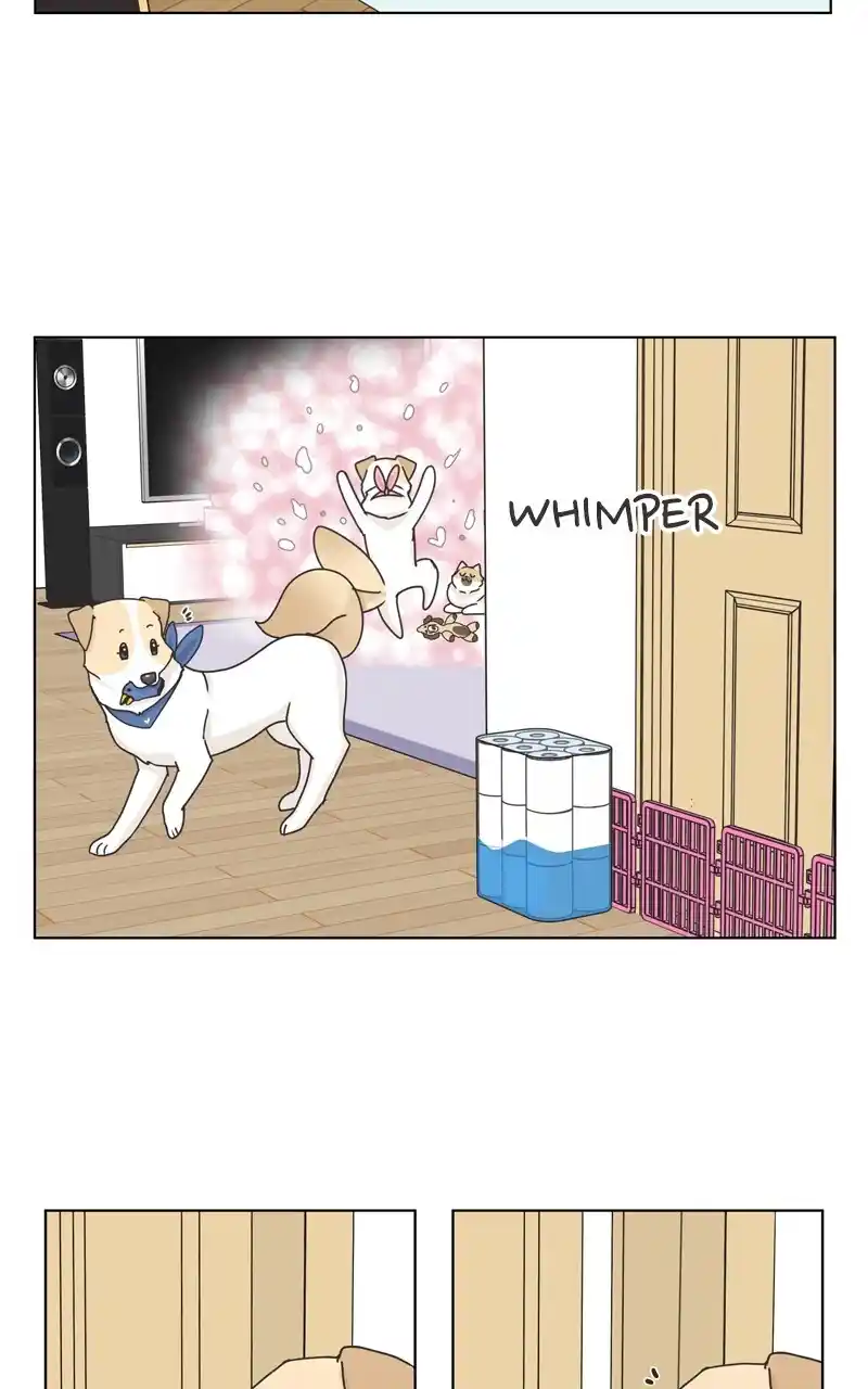 I Gave Birth to a Dog Chapter 117