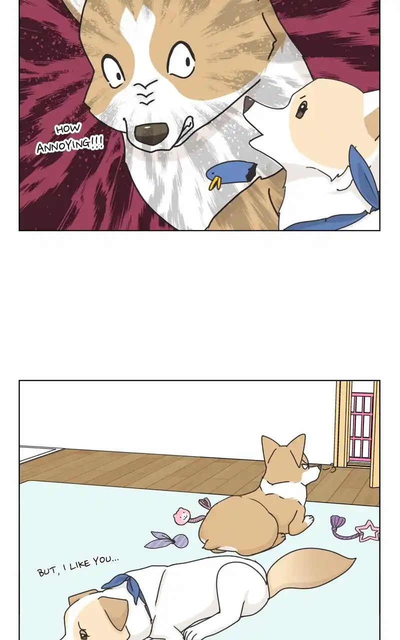 I Gave Birth to a Dog Chapter 117